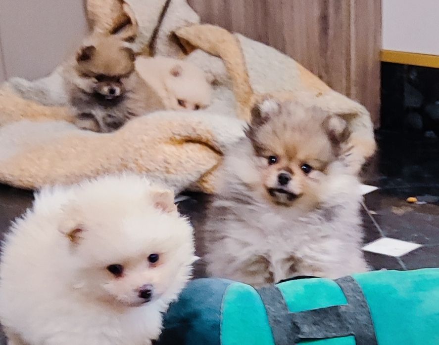 Маленьке чудо! Дівчинка та хлопчик