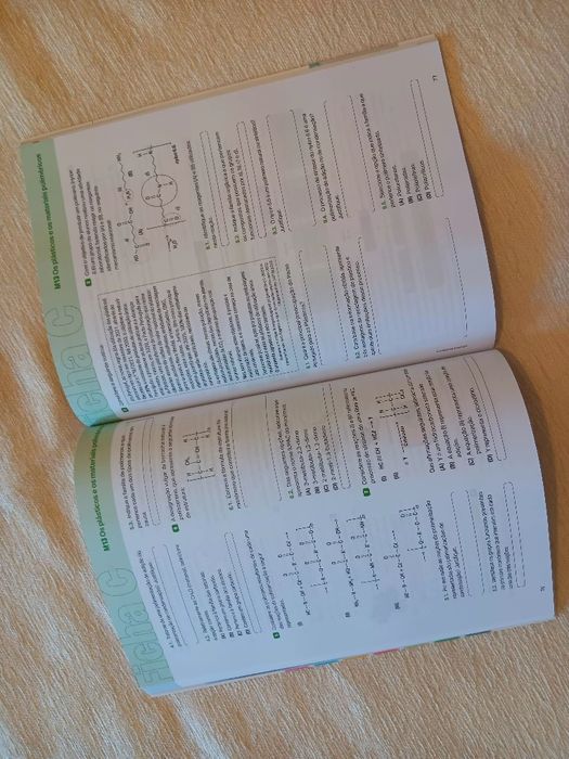 Livro de Fichas "Química em Reação 12"