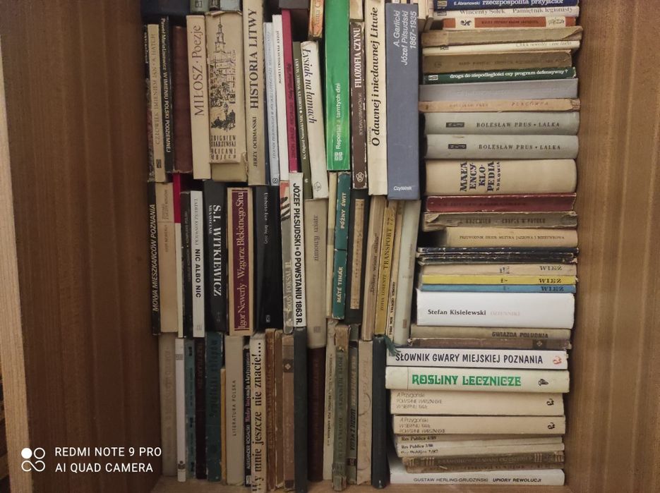 Klasyka literatury – Prus, Hemingway, Miłosz, Grass – tanio