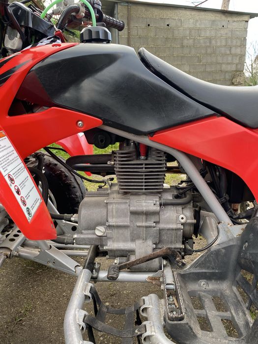 Vendo trx 250 Sportrax ex