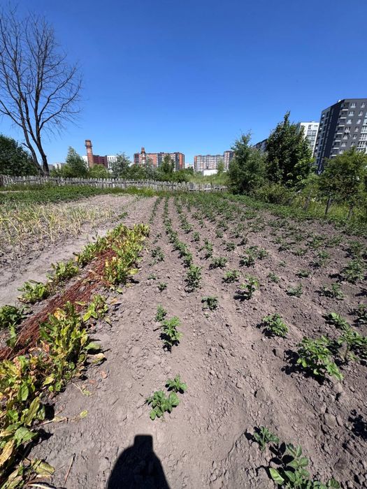 Продаж земельної ділянки  Сокільники