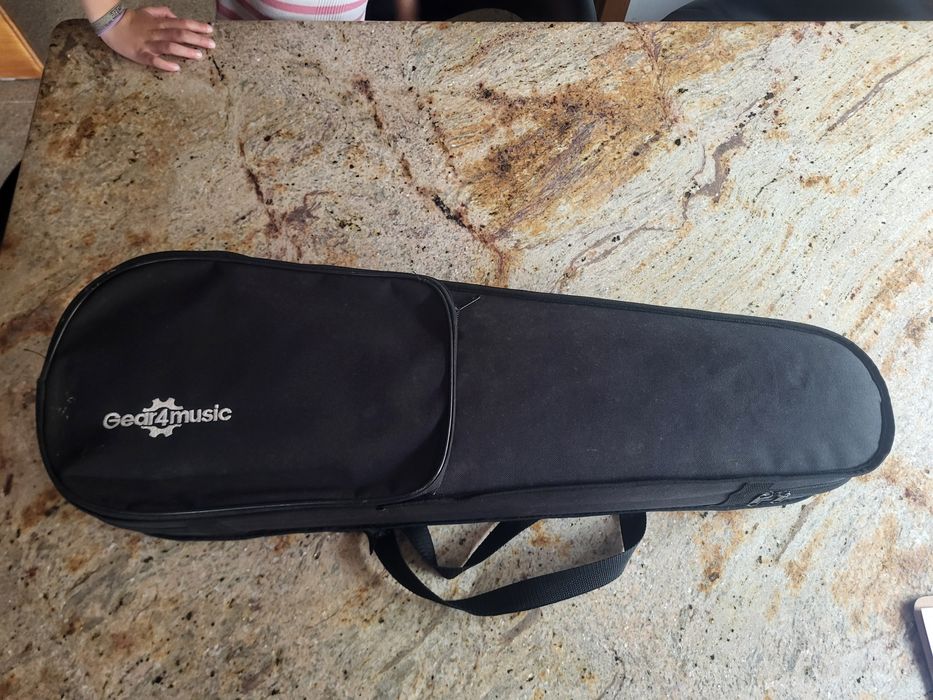 Violino  violeta
