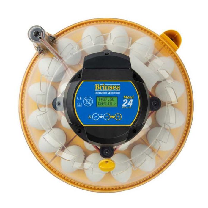 Incubadora Chocadeira Brinsea 24 ovos