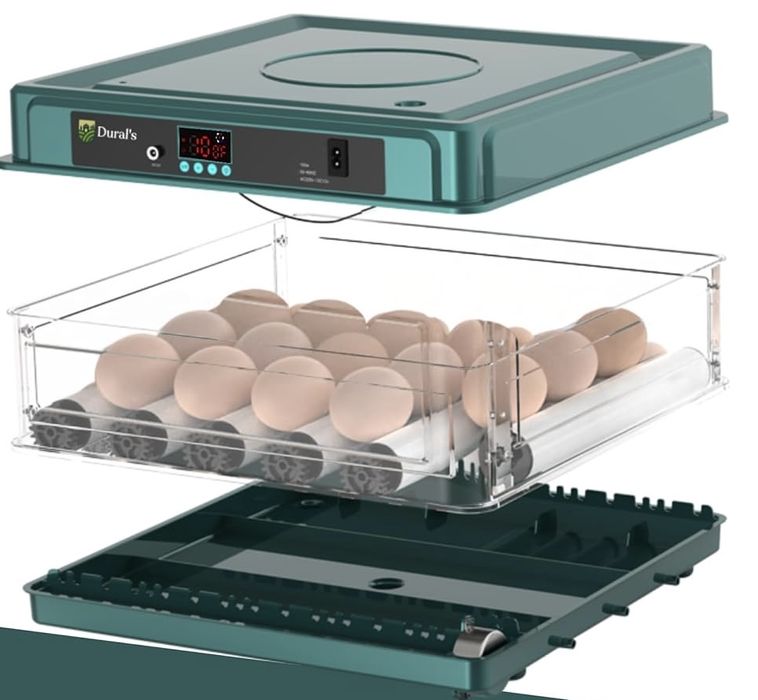 Dural's Automatyczny inkubator do jajek uniwersalny