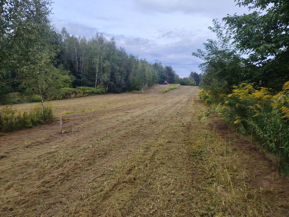 500 M2   Rosanów 80.000 zł