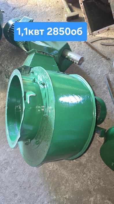 Вентилятор на сушку гарбузового насіння