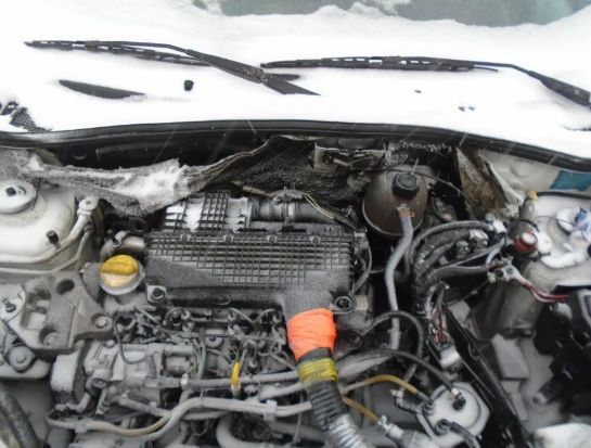 Разборка Renault Kangoo (Рено Кенго) 1/2 ШРОТ Запчасти Кузов