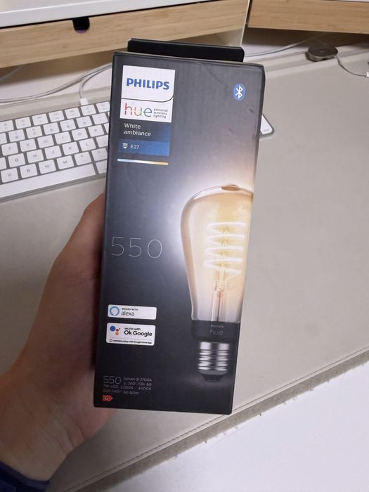 Hue edison e27 550
