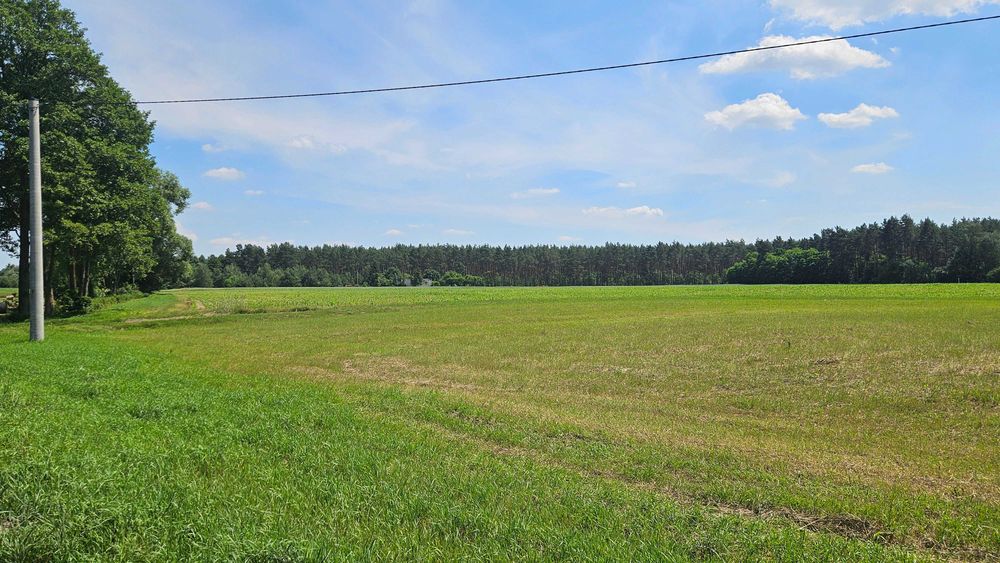 Działka z warunkami zabudowy w Złejwsi Małej w atrakcyjnej lokalizacji - Widok 3