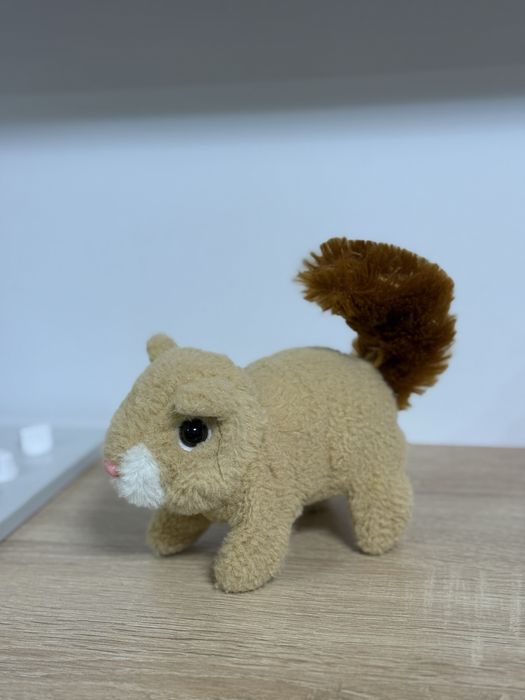 Інтерактивна білочка