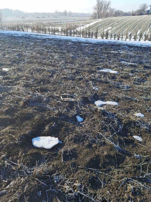 продаж земельної ділянки сільськогосподарського призначення