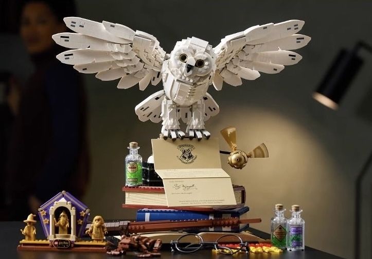 Конструктор Гедвіга Хогвардс Хедвіга Гаррі Поттер