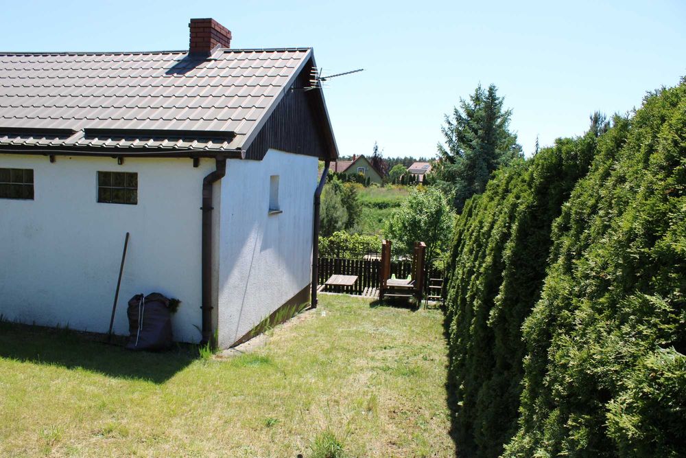 Sprzedam działkę ROD Zalesie w Pile - Więcej