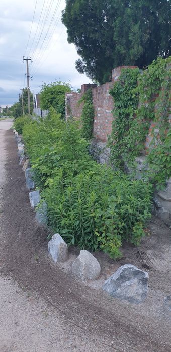 Продаємо свій будинок ( в оренду не здаємо)