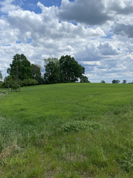 Dzialka budowlana na sprzedaz Daszewo