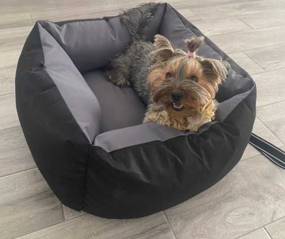 Transporter fotelik samochodowy legowisko dla psa kota zwierzaka 55x55