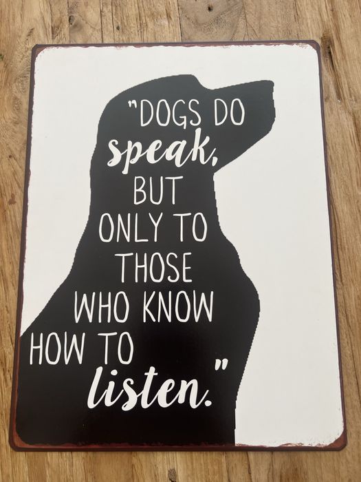 Quadro cão bairro arte