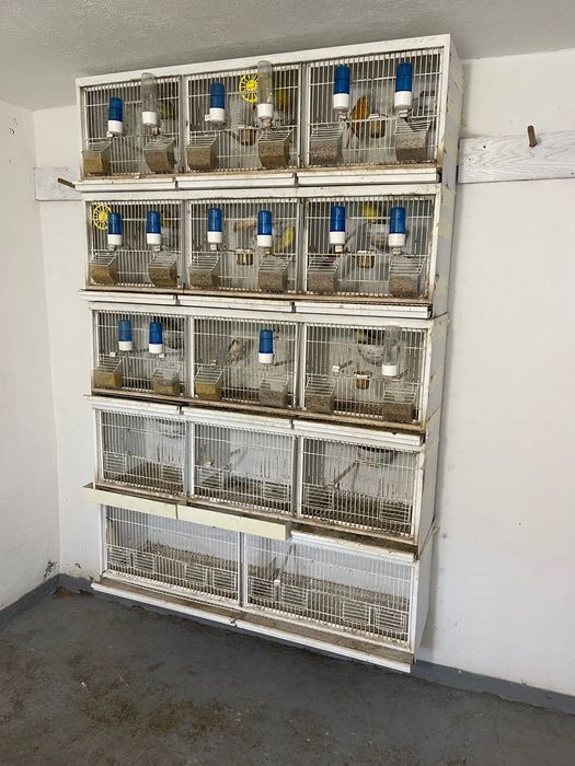 Vendo viveiros em chapa