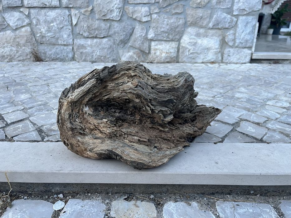 Tronco maciço para terrario. Tratado para aquario.