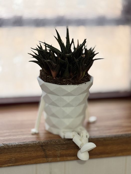 Vaso Decorativo .