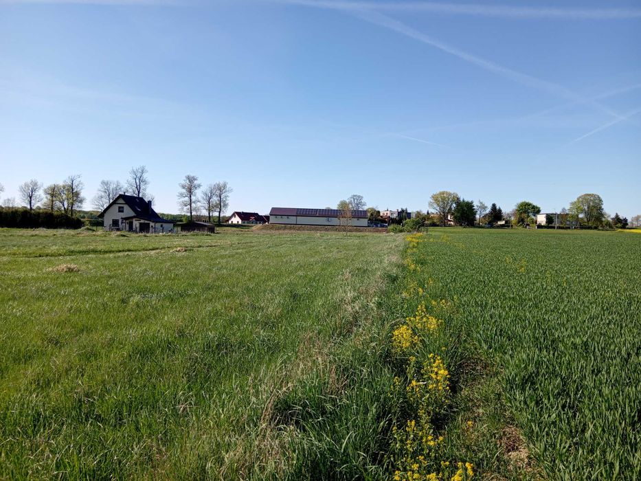 sprzedam działkę budowlaną