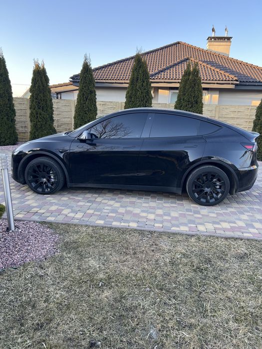 Оренда  Авто прокат TESLA MODEL Y,3