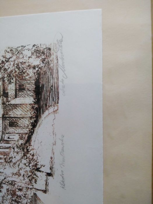 Rycina Wrocław Katedra