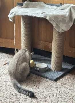 Дряпка для кота, когтеточка