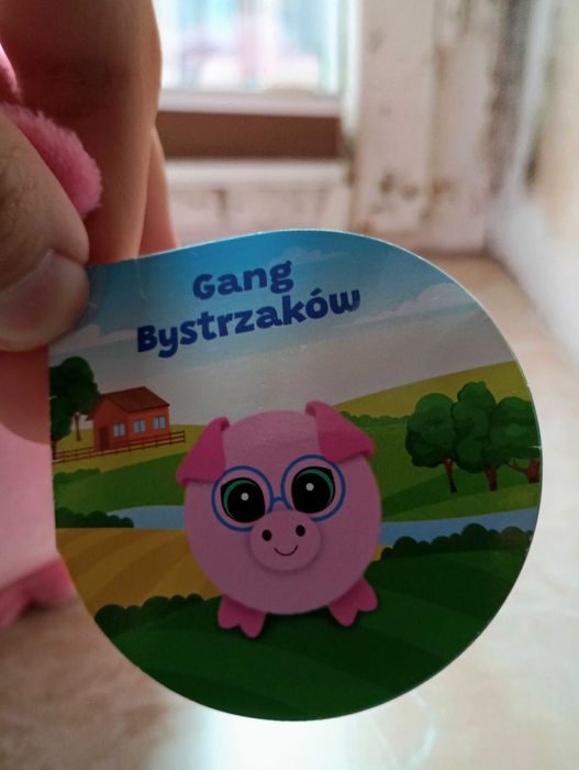 Świnka Skarbonita Gang Bystrzaków | NOWA Z METKĄ | Okazja
