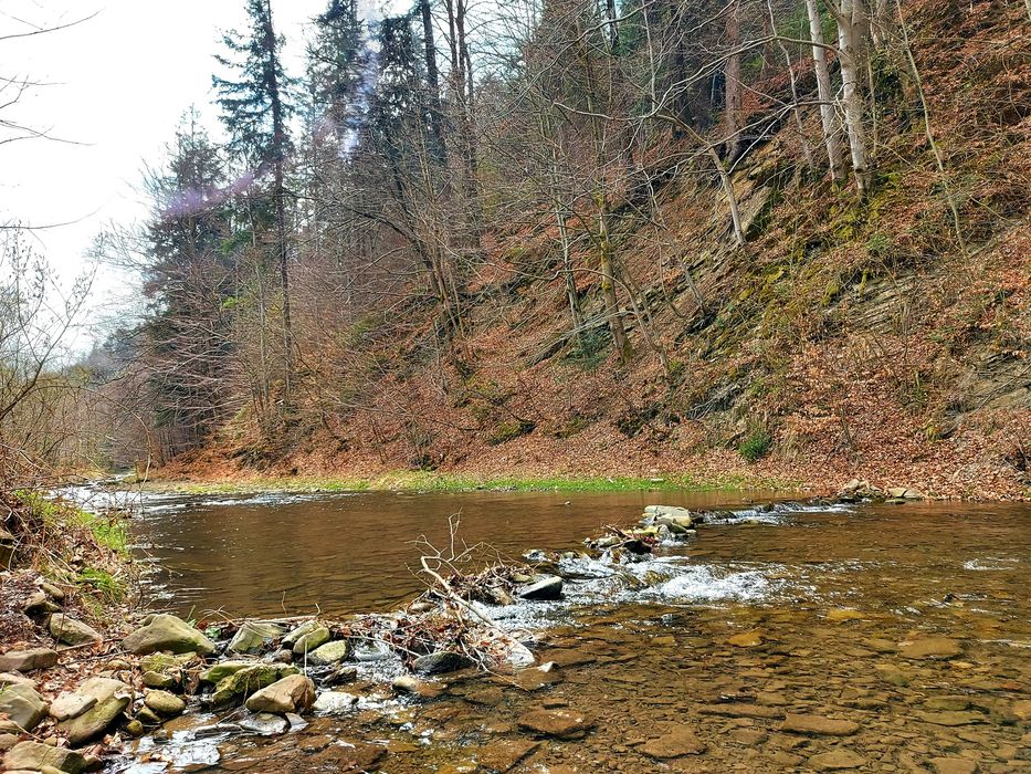Domek nad samą rzeką ogrodz.Balia jacuzzi Beskidy Brenna Ustroń Wisła
