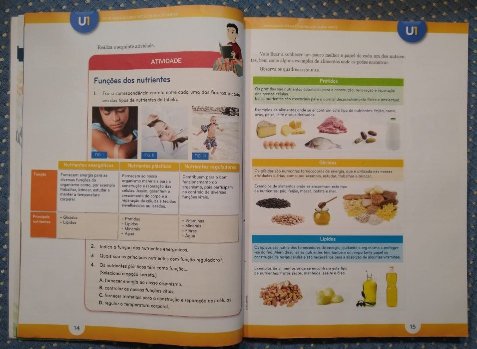 "Natura 6 Natural Sciences 6th Grade" Textbook + Activity Workbook + CD-ROM64286395703041123