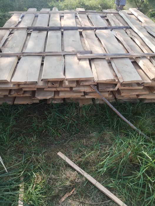 Липа для бані,ии