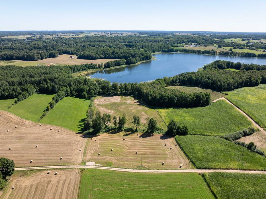 działka z linią brzegową jeziora Hołny - Widok 5