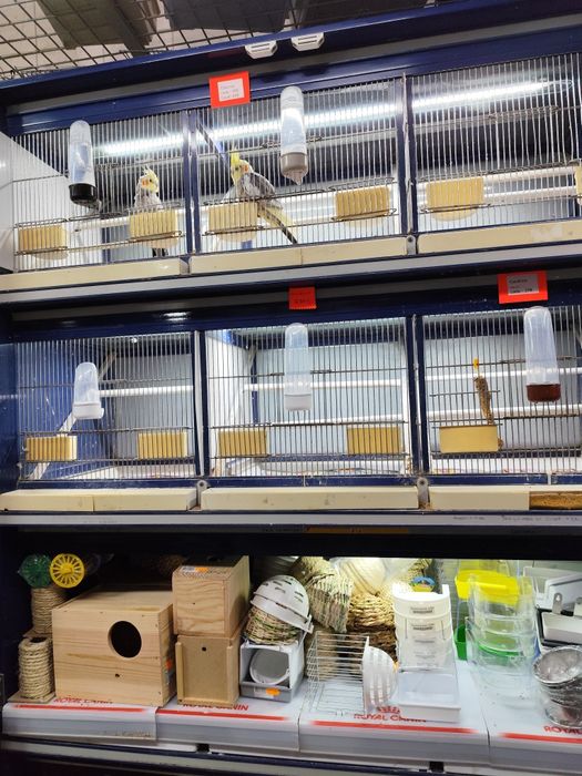 Expositor aves 6 gaiolas