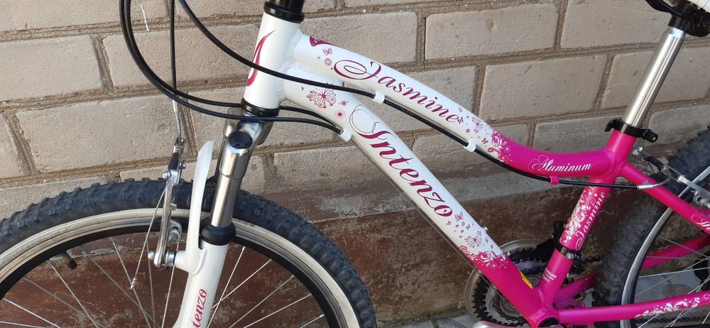 Алюминиевый велосипед Intenzo Jasmine