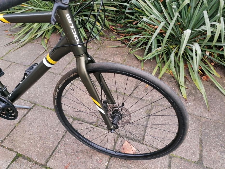 Rower fitness, szosa Focus Arriba - Ładny.