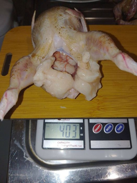 инкубационные яйца и суточные цыплята перепелок