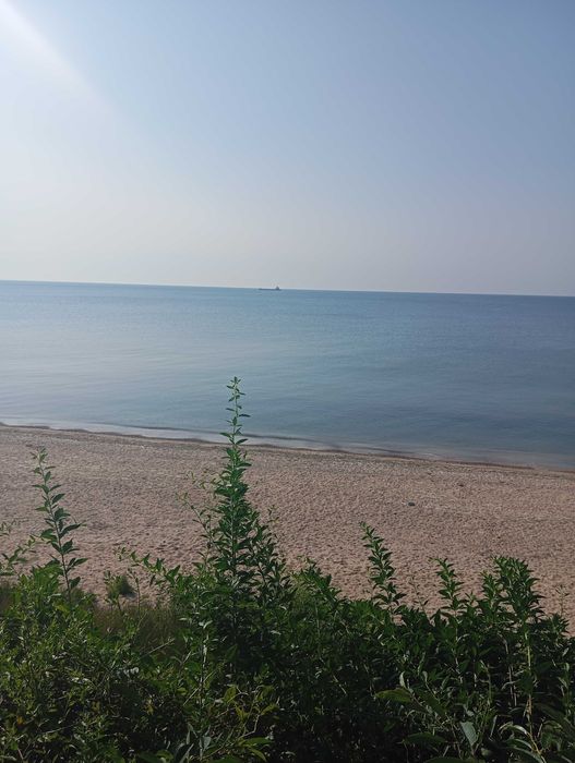 Сдам домик у моря. Жилье посуточно. Дача на берегу, пляж для отдыха