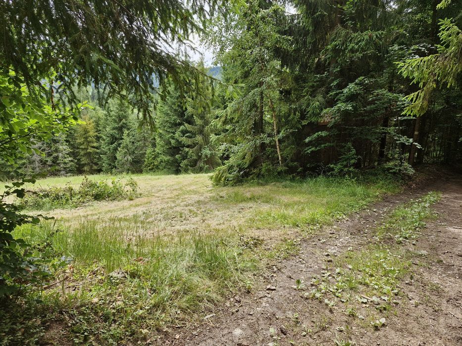 Dzialka Glinka -Smerekow Maly 30a