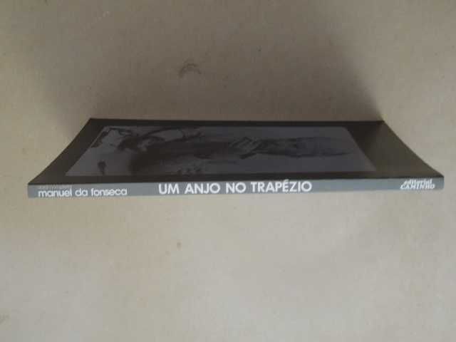 Um Anjo no Trapézio de Manuel da Fonseca
