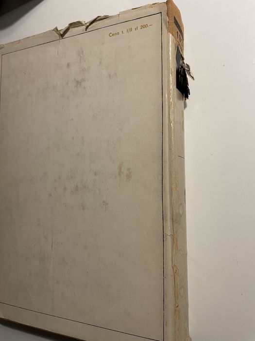 Okupacja i ruch oporu w dzienniku Hansa Franka + inne książki