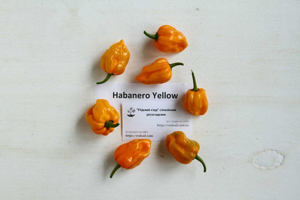 Перець гострий насіння (24 сорти) семена суперхотов острый гіркий