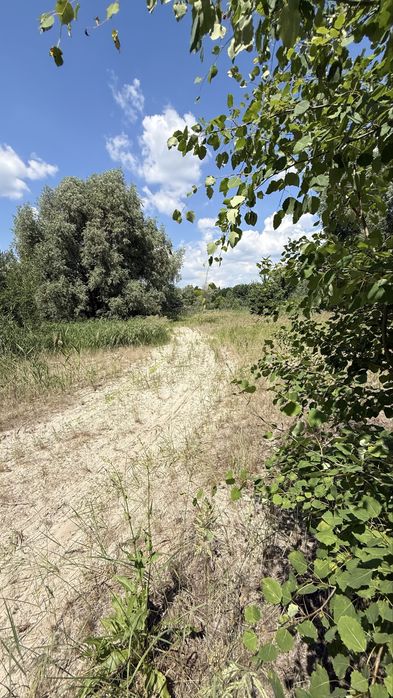 Продаж Ділянки  34,4га +14,34 га, біля  "Dreamland", с. Нові Безрадичі