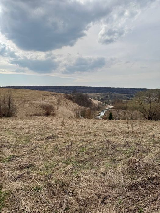 Фото ділянки