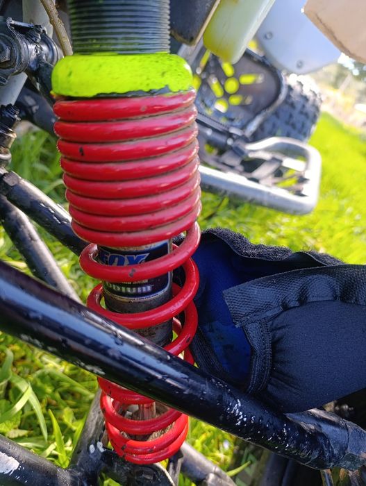 Polaris Predator 500