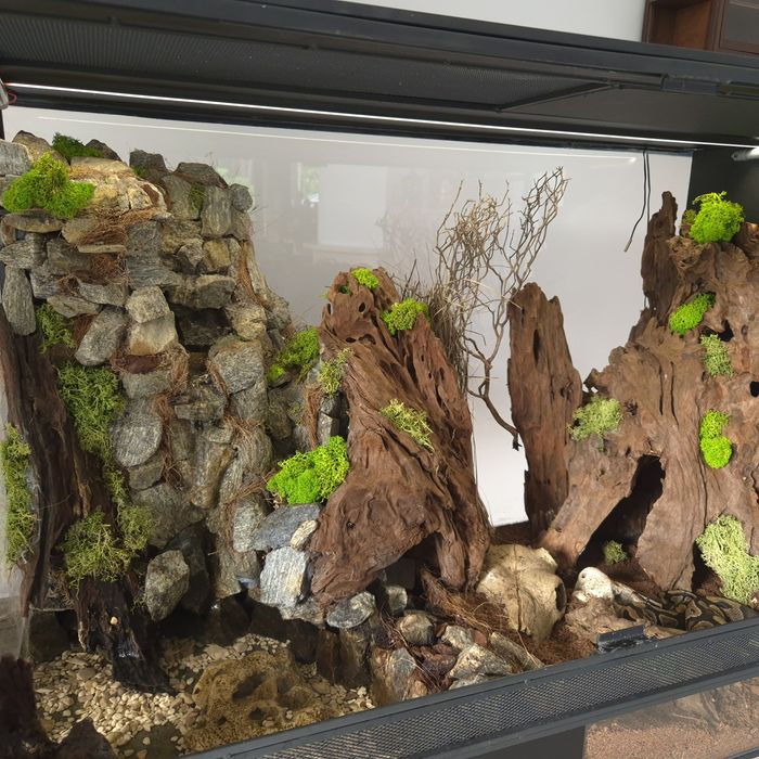 Terarium z wyposażeniem