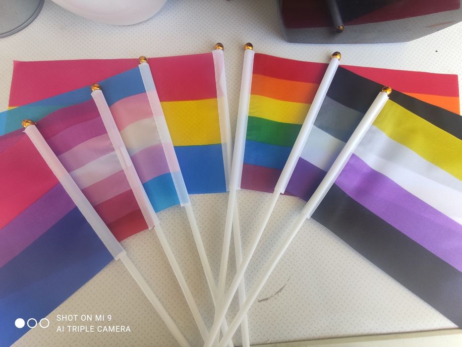 Bandeirinhas LGBT várias