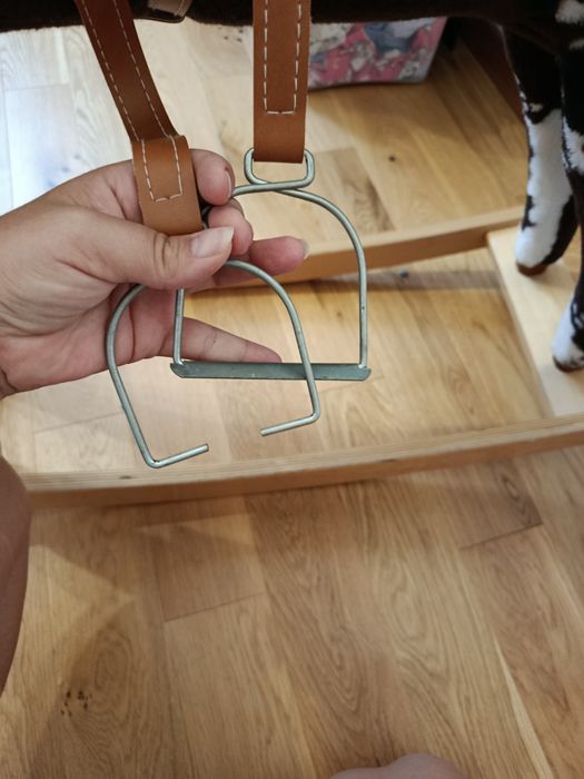 Konik na biegunach