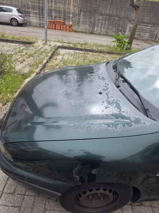 Fiat bravo gasolina