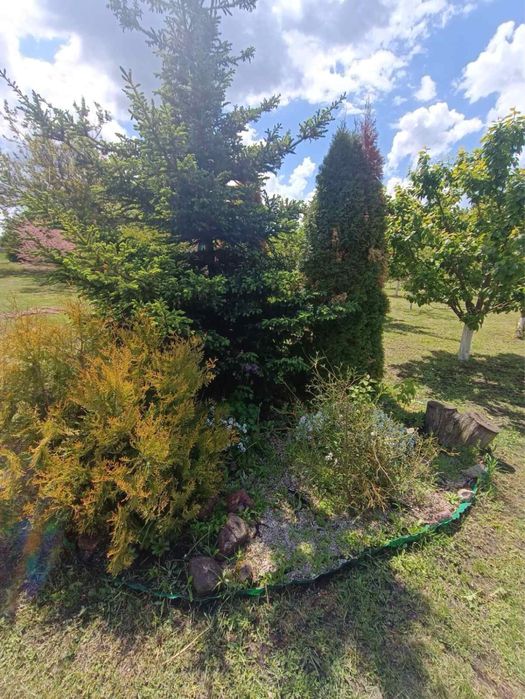 Продам будинок в Потіївці. Якщо про покій, то це саме тут.